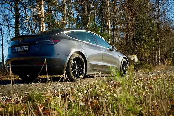 Tesla Model 3 2019 photo 3