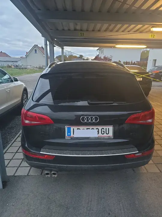Audi Q5 2009 photo 2