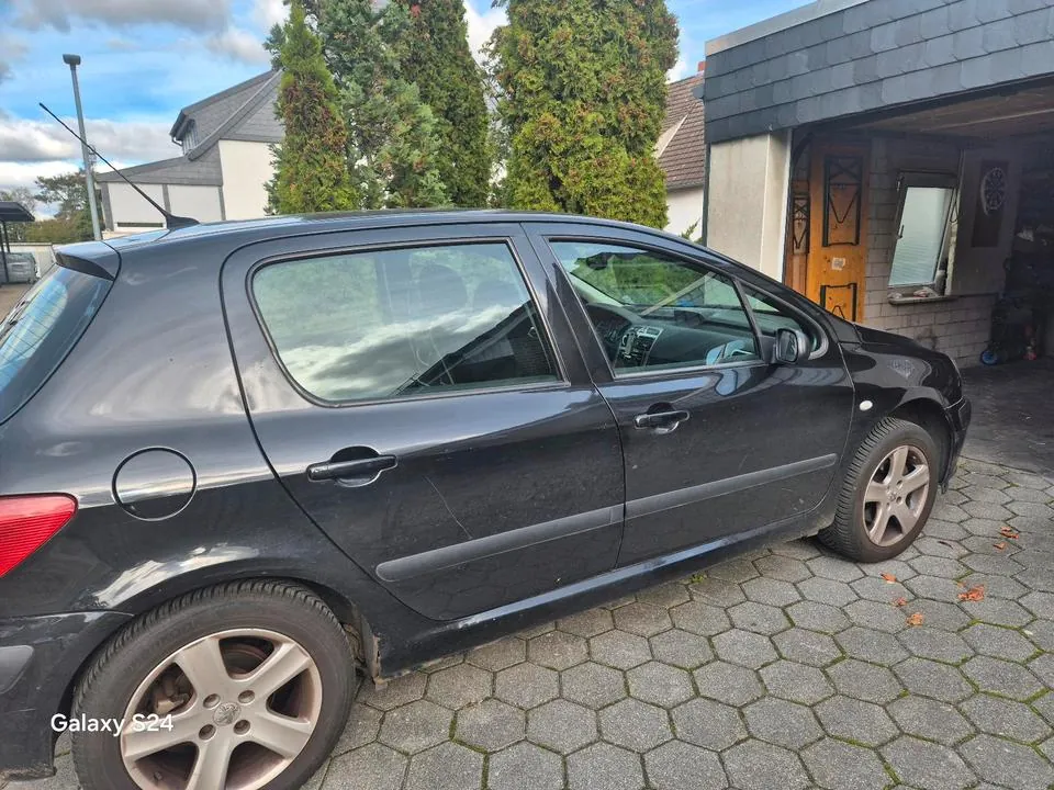 Peugeot 307