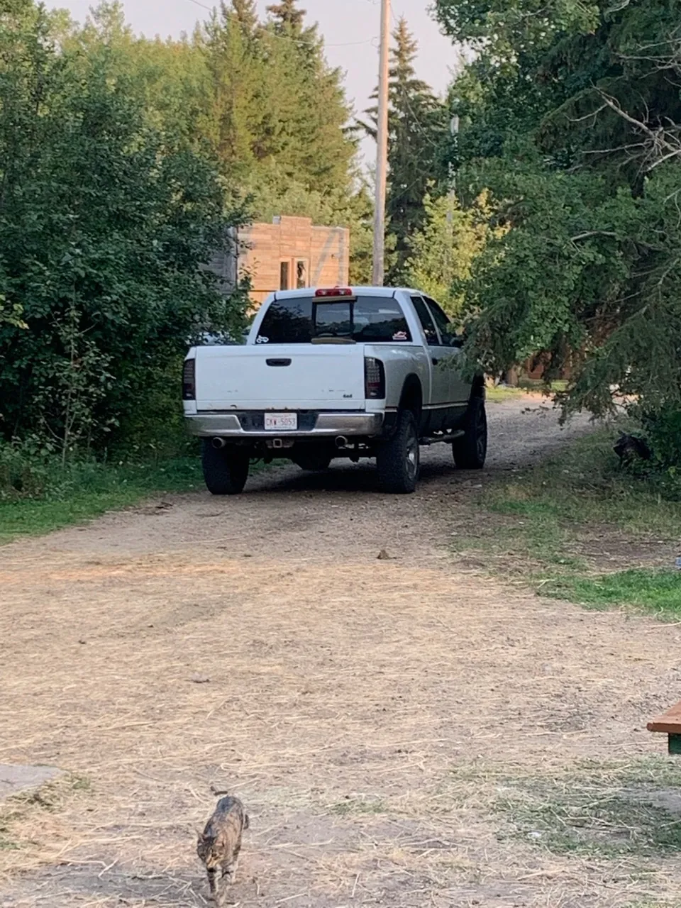 Dodge Ram 1500 2008 photo 4