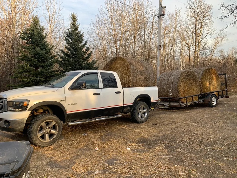 Dodge Ram 1500 2008 photo 3