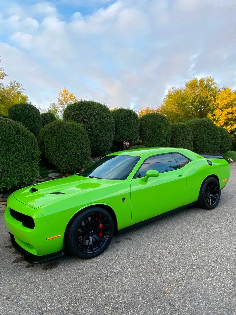 Dodge Challenger 2015 photo 3