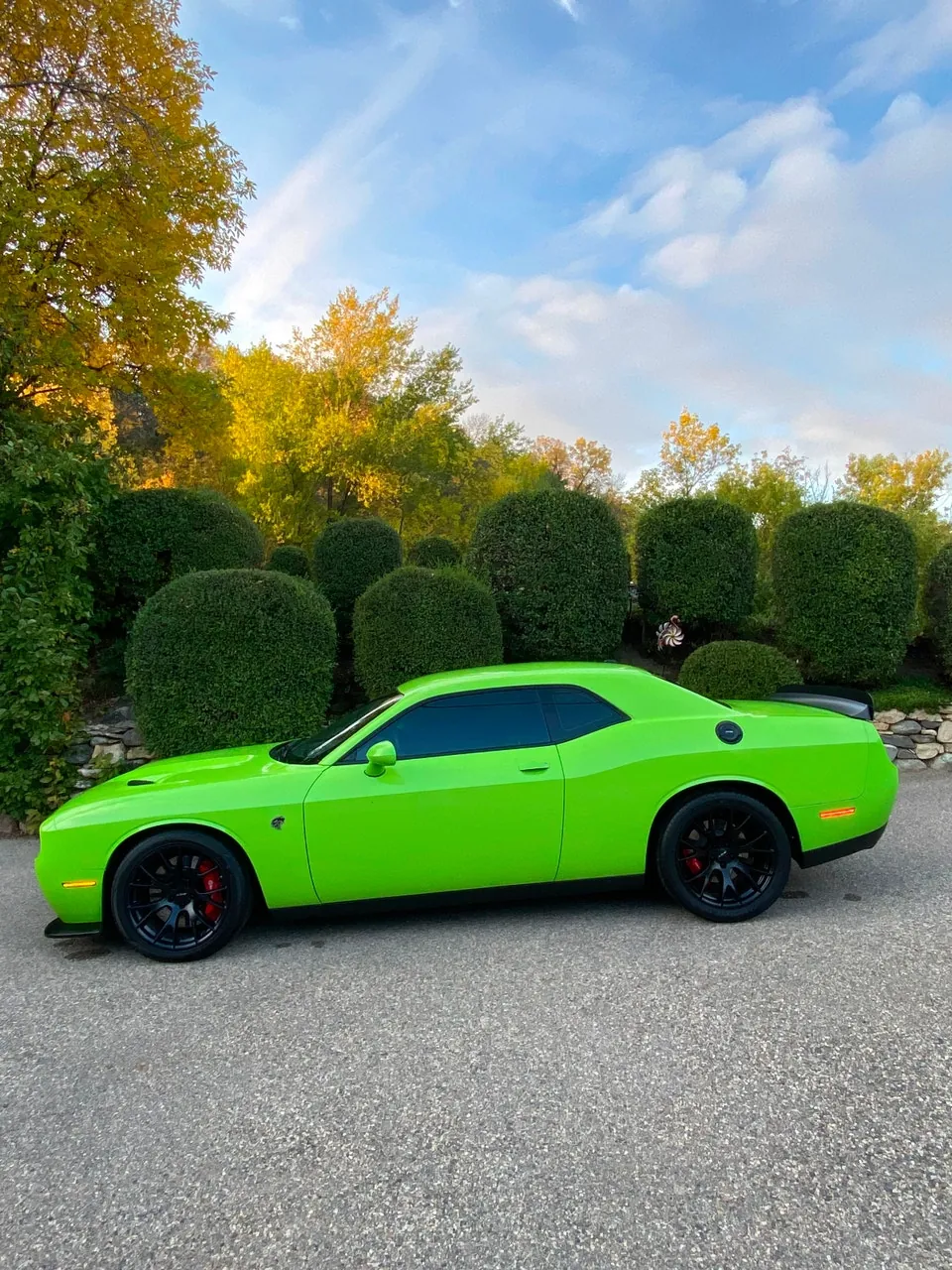 Dodge Challenger 2015 photo 2