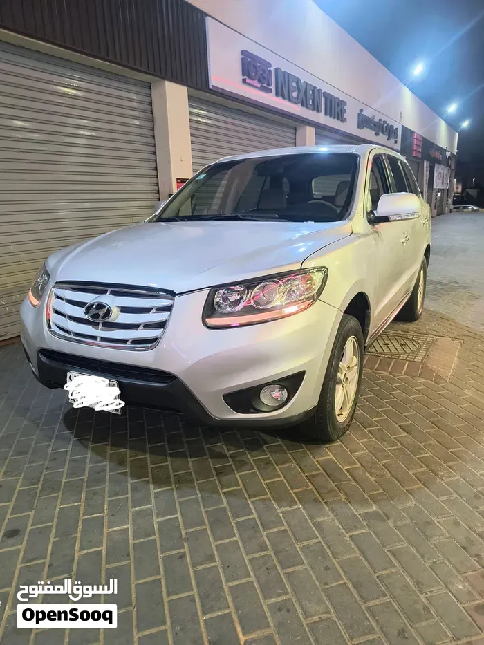 Hyundai Grand Santa Fe 2010 photo 2
