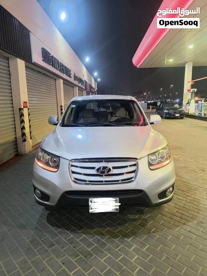 Hyundai Grand Santa Fe 2010 photo 3