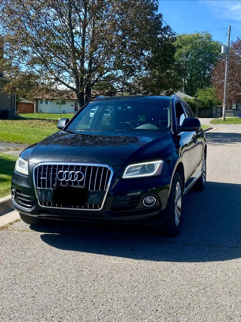 Audi Q5 2013 photo 2
