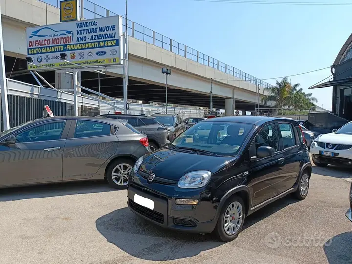 Fiat Panda 2024 photo 2