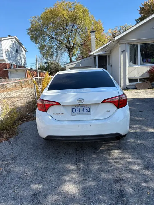 Toyota Corolla 2019 photo 5