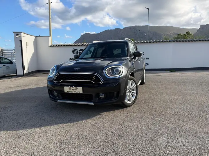Mini Mini Countryman