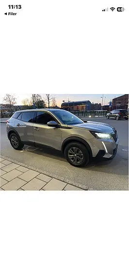 Peugeot 2008 2021 photo 2