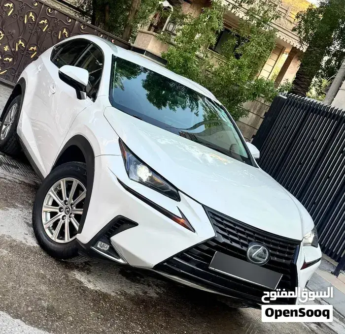 Lexus Nx 300 2019 photo 4