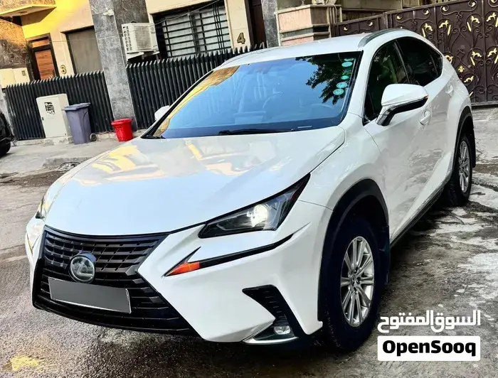 Lexus Nx 300 2019 photo 3