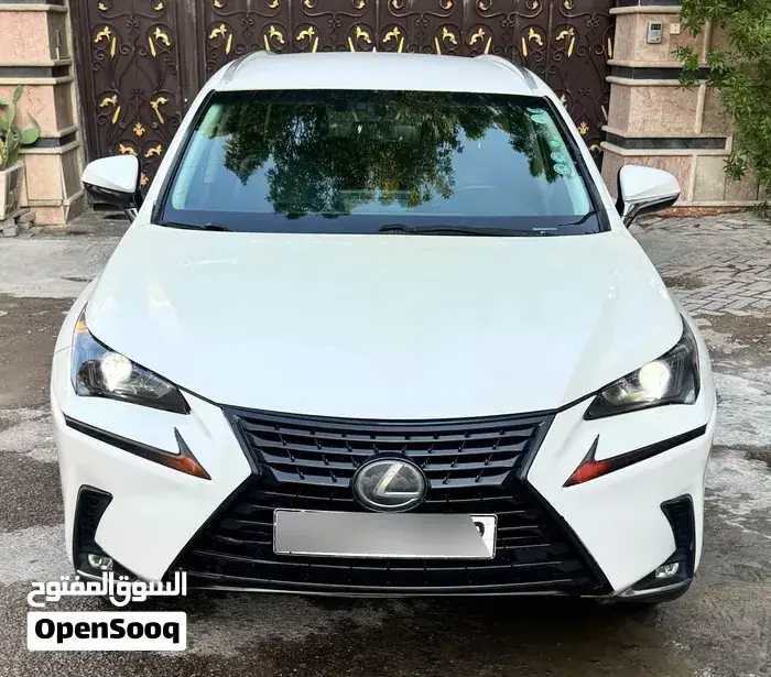 Lexus Nx 300 2019 photo 2