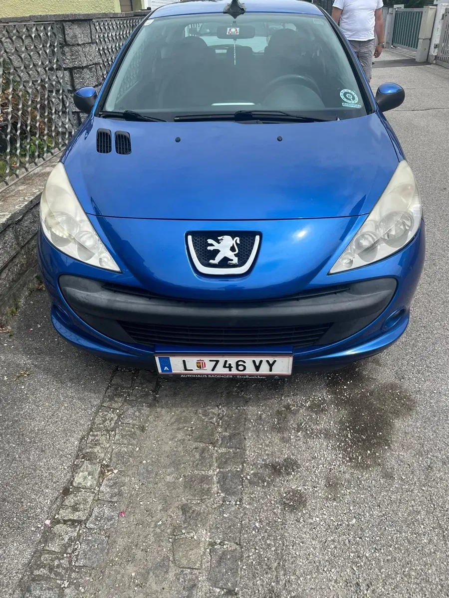 Peugeot 206 2010 photo 3