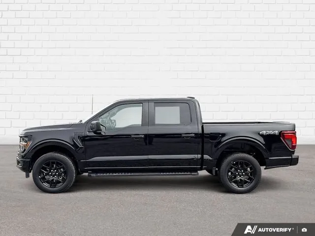 Ford F-150 2024 photo 3
