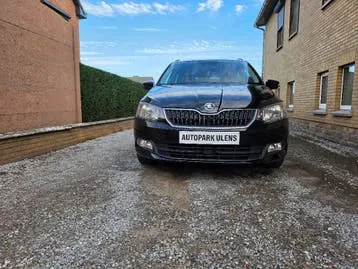 Skoda Fabia 2016 photo 2