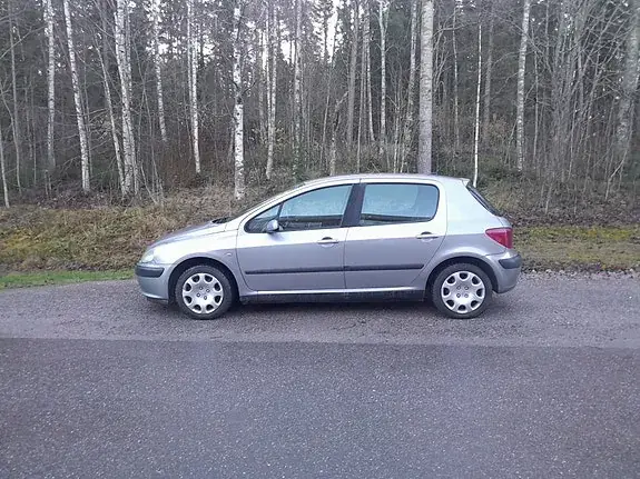 Peugeot 307 2002 photo 3