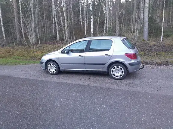 Peugeot 307 2002 photo 2