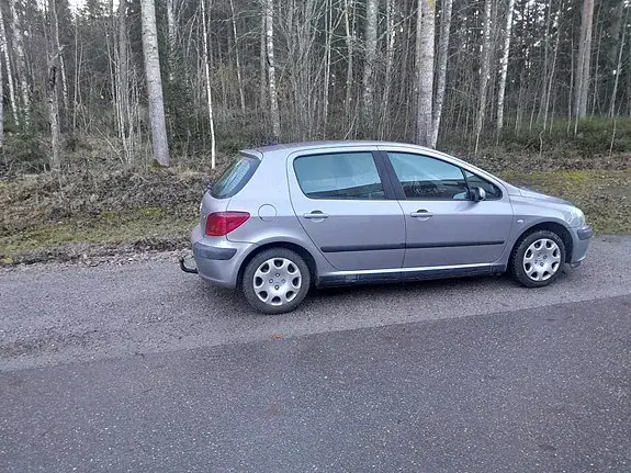 Peugeot 307 2002 photo 4