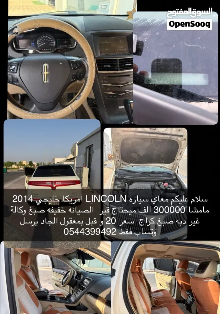 Lincoln Mkt 2018 photo 5