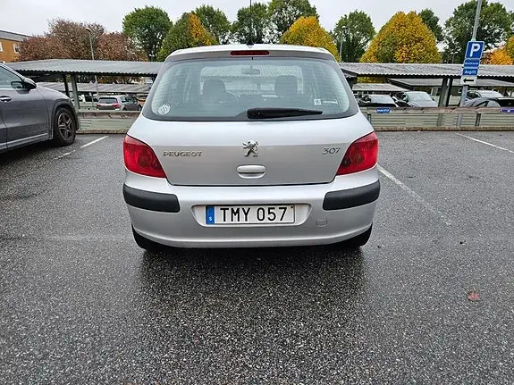 Peugeot 307 2002 photo 5