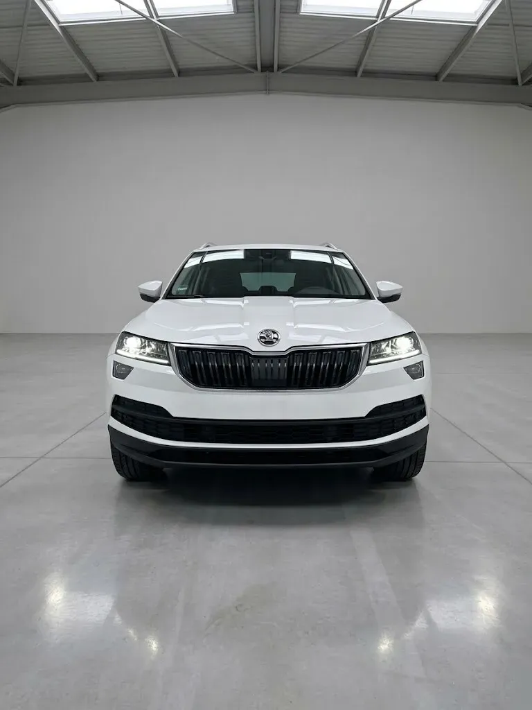 Skoda Karoq 2018 photo 3