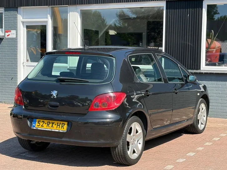 Peugeot 307 2005 photo 3