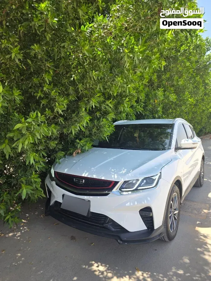 Geely Coolray 2020 photo 5