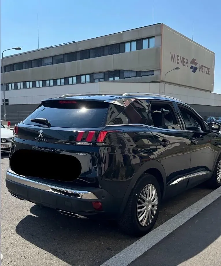 Peugeot 3008 2019 photo 3