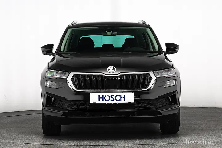 Skoda Karoq 2025 photo 2