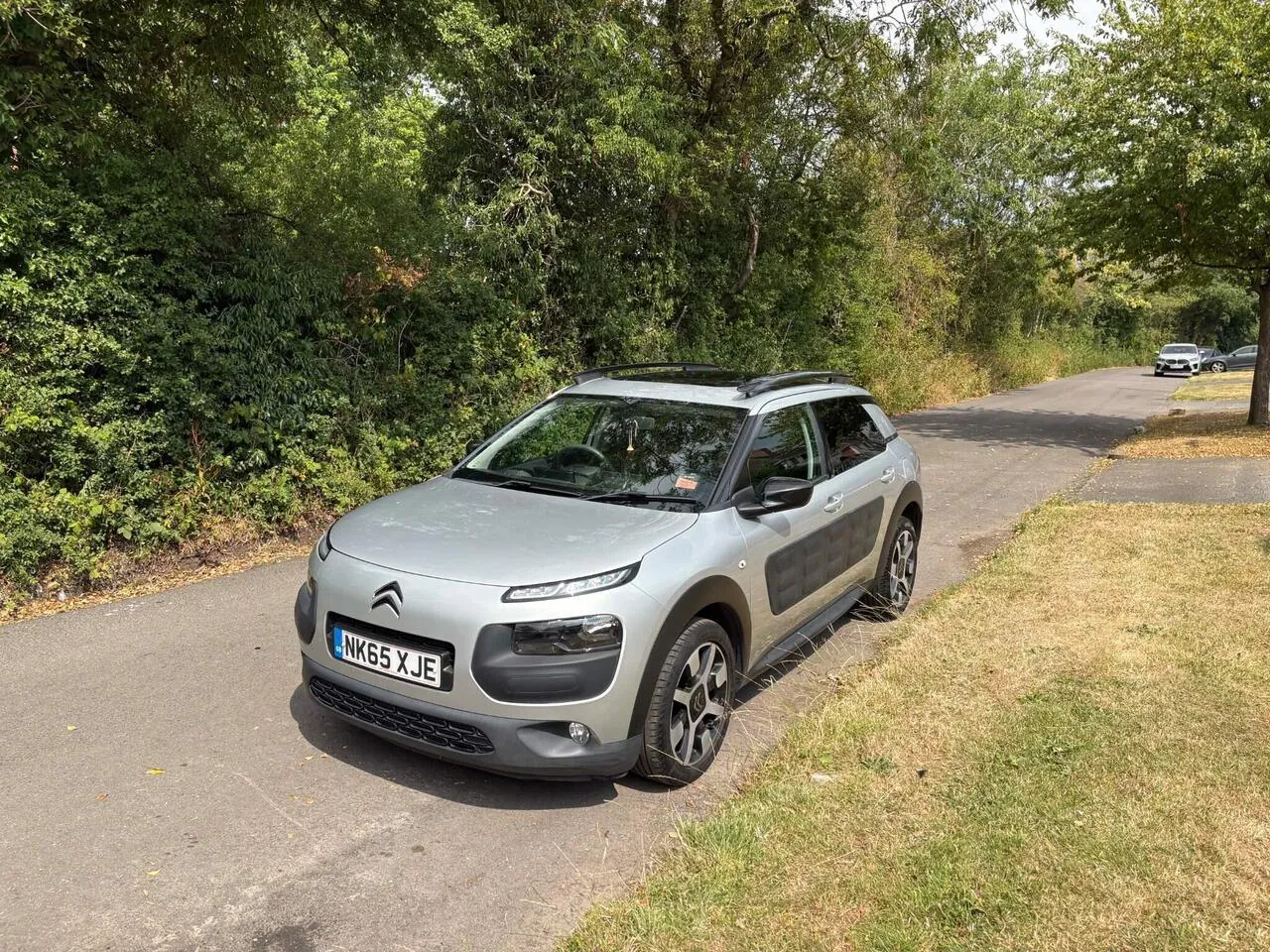 Citroen C4 Cactus