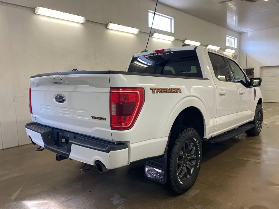 Ford F-150 2022 photo 3