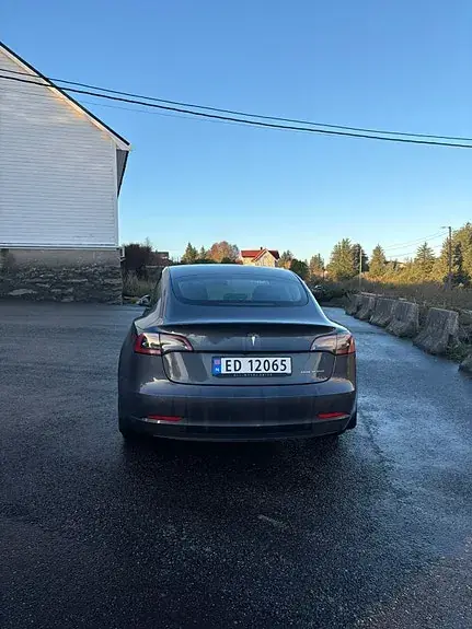 Tesla Model 3 2021 photo 3