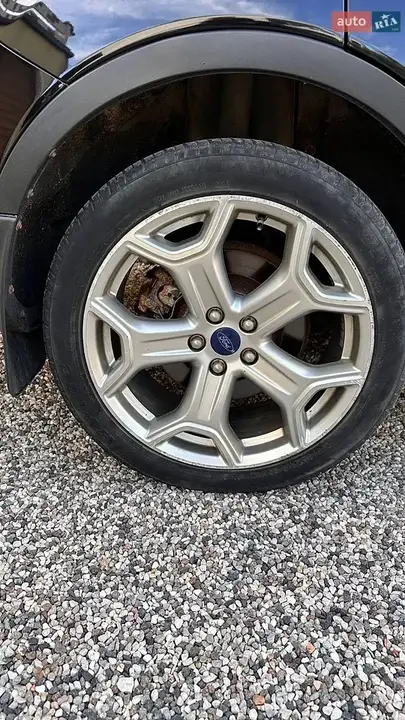 Ford Escape 2016 photo 3