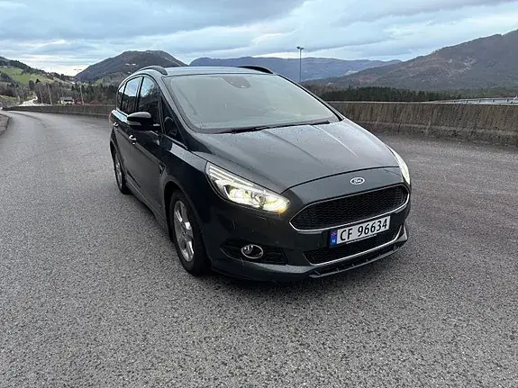 Ford S-Max 2019 photo 3