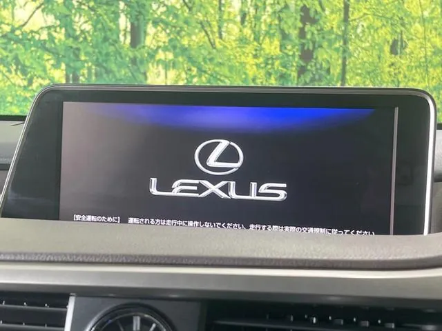 Lexus Rx450H 2016 photo 4