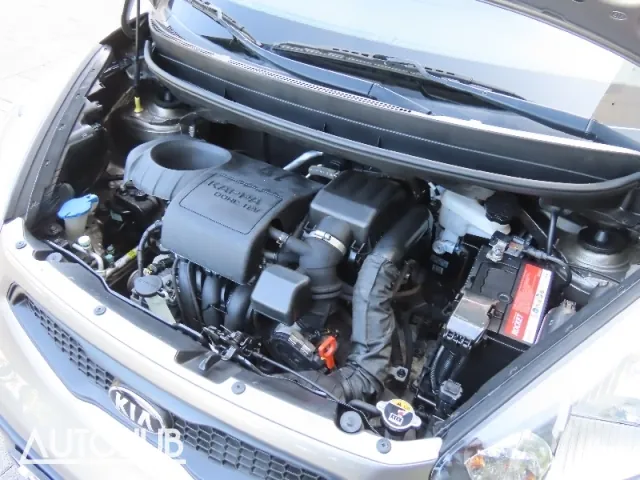 Kia Omnis 2014 photo 5