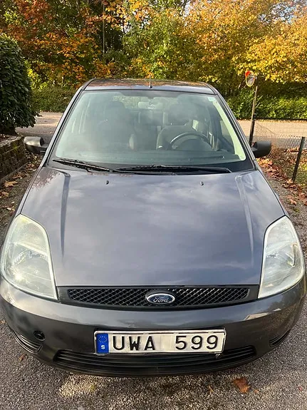 Ford Fiesta 2004 photo 3