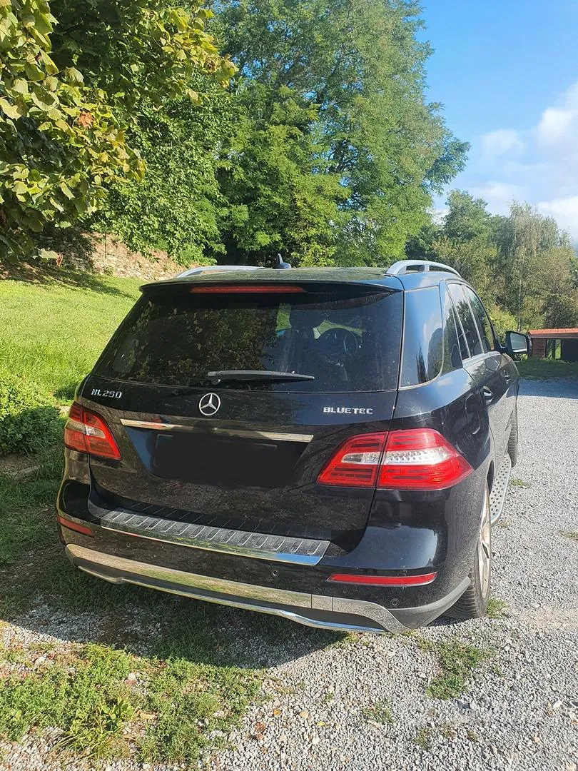 Mercedes-Benz Ml 250 2016 photo 2
