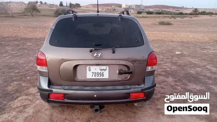 Hyundai Santa Fe 2004 photo 5