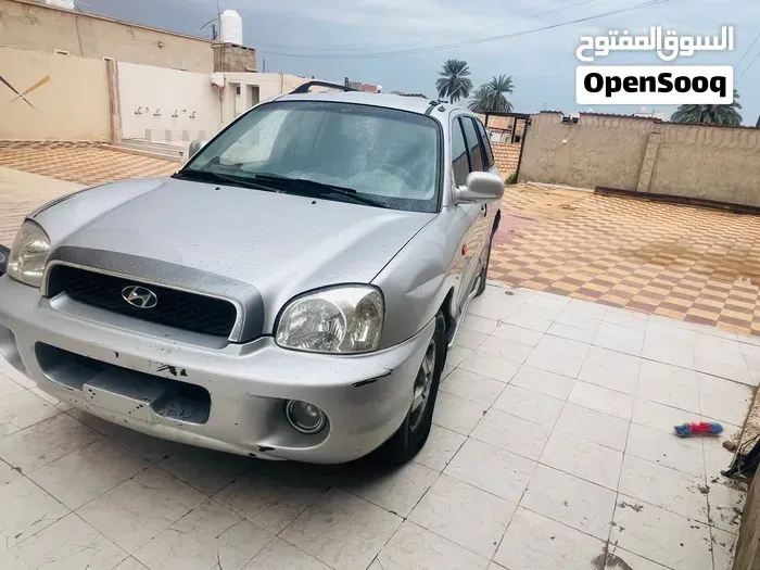Hyundai Santa Fe 2004 photo 3