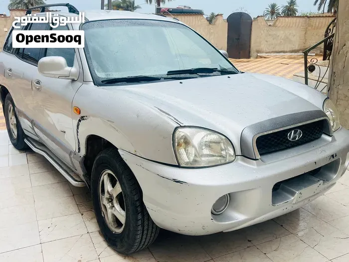 Hyundai Santa Fe 2004 photo 2