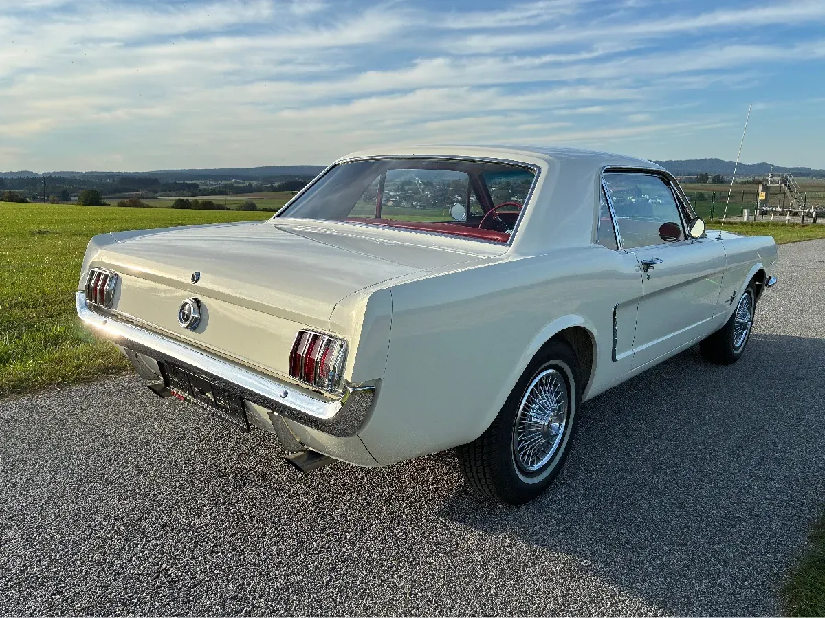 Ford Mustang 1964 photo 3
