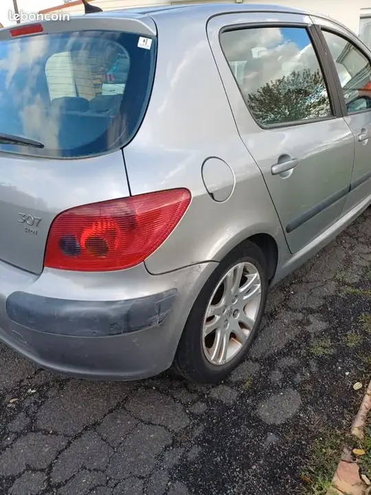 Peugeot 307 2003 photo 2