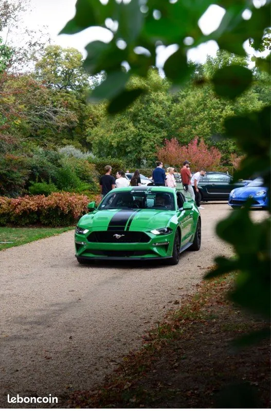 Ford Mustang 2019 photo 3