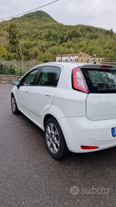 Fiat Punto 2012 photo 5