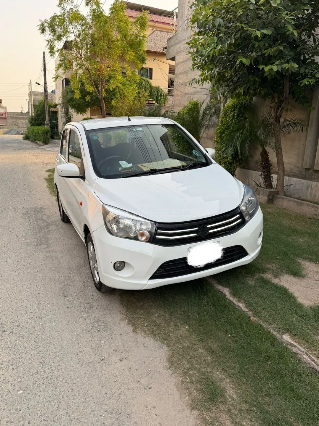 Suzuki Cultus