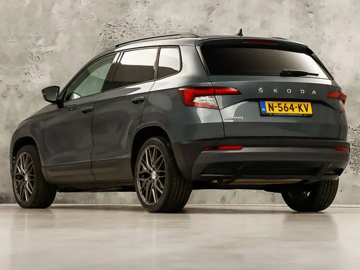 Skoda Karoq 2020 photo 3