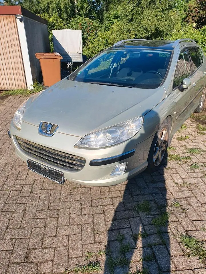 Peugeot 407 Sw