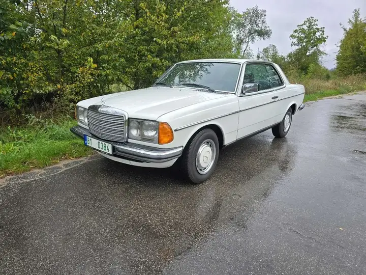 Mercedes-Benz E-Class 1979 photo 2